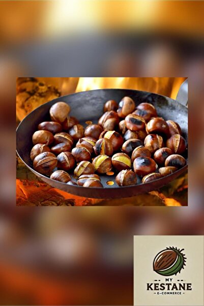 OrganikYemiş Aydın Büyük Boy Tatlı Kestane (1 KG)