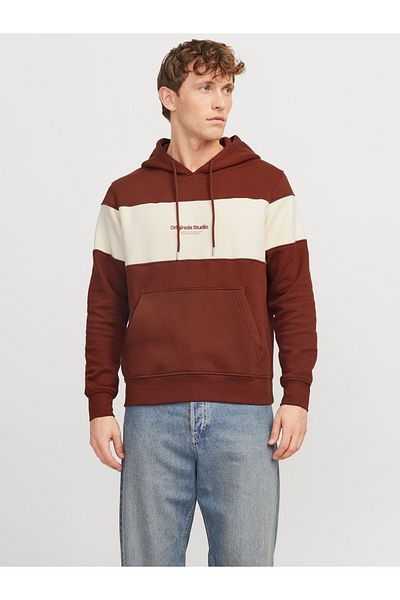 Jack & Jones JORVESTERBRO BLOCK SWEAT HOOD STYD AW24