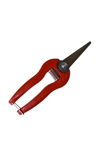 SeraTrend Grape Harvest Scissors