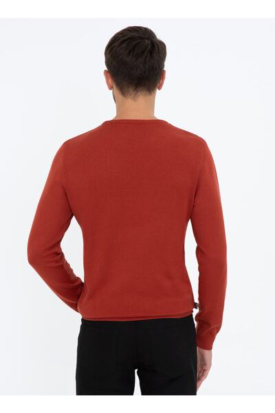 Pierre Cardin Men's Sweater