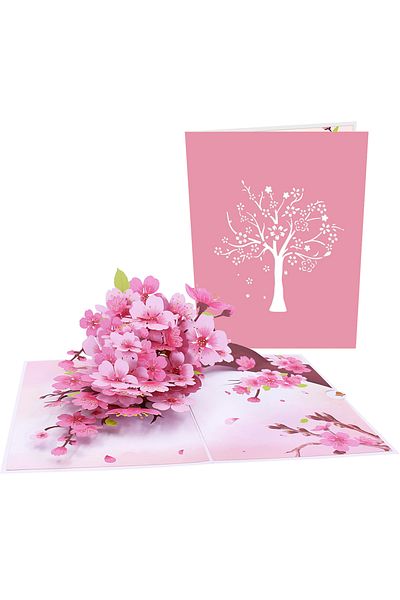 Choice Cherry Blossom Tree Cymbidium Orchids Pop-up Greeting Card with Envelope Flowers Postcard Floral Bir