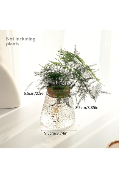 Choice W-3.35inX3.74in 1 قطعة، محطة زراعة زجاجية، رف مزهرية، سطح طاولة، نباتا...