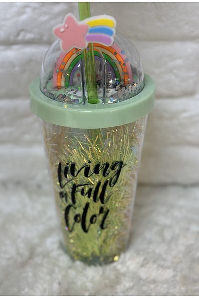 Zizu Colorful Mica Lighted Double Layer Glass Water Bottle with Straw 500 ml