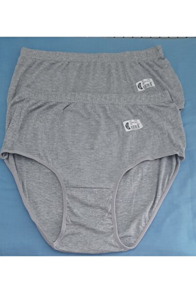 Gümüş İç Giyim Kadın Battal Boy Külot 2'li Paket 5xl Beden