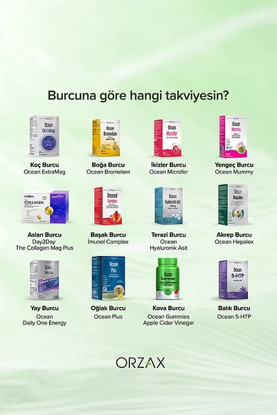 Orzax Bigflor 10 Sachets Probiotic Food Supplement