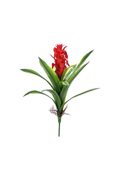 Dekorsende Yapay Guzmanya Dalı Canlı Dokunuş 49 Cm