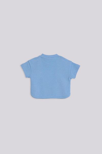 GB Baby Basic Bg Store Baby Boy Blue Shorts and Tshirt Set