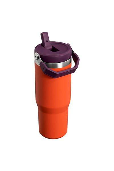 Stanley Iceflow Flip Straw Tumbler 30oz/0.89 Lt Rat Motif
