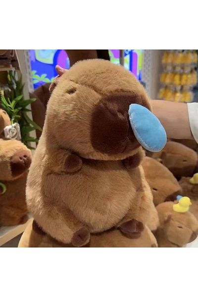Choice 23 2 Cute Turtle Backpack Capibara Strawberry Hat Capybara Plush Toy Stuffed Animals Soft Doll Kids