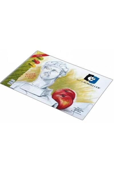 Alex Schoeller Resim Defteri Spiralli 50x70 120gr. 20 Yaprak