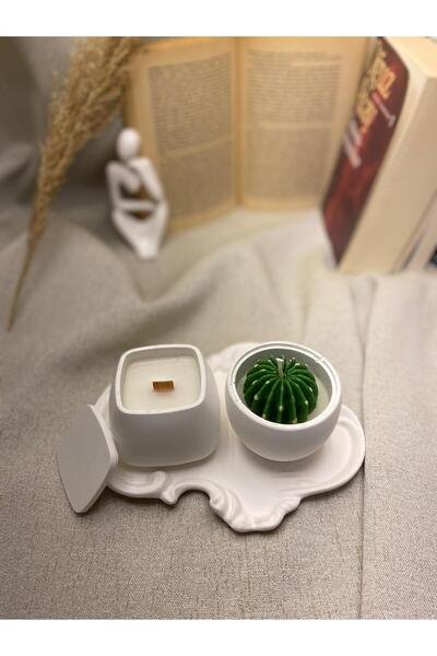 SafHomeDecor Dekoratif Tepside Vanilya Kokulu Ahşap Fitilli ve Kaktüslü Mum Seti