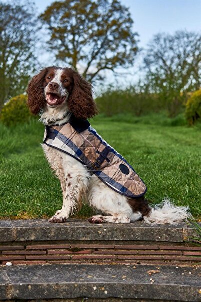 Barbour Ekose Köpek Montu TN11 Classic Tartan
