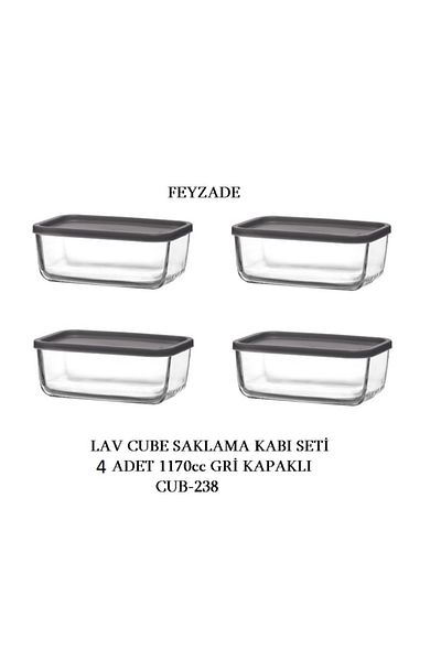 LAV Feyzade Cube Storage Container Set 4Pcs 1170Cc (Cub-238)