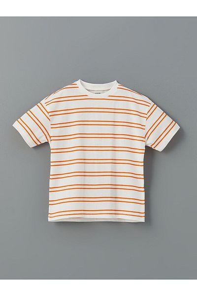 LC Waikiki Crew Neck Striped Baby Boy T-Shirt