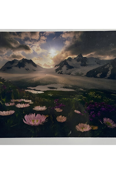 EleganTShoP 5D Yapışan Boncuk Goblen Mozaik Tablo Pano 40 x 50 cm 76388