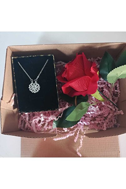 JUPİTER HOME 8 Mart Dünya Kadınlar Günü Çelik Yonca Kolye Güllü Kutu 14 Şubat...