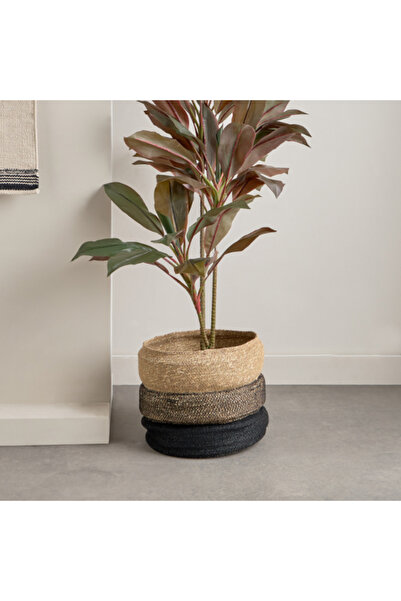 Home Box وعاء زراعة عشب البحر نوير 30×30×30 سم