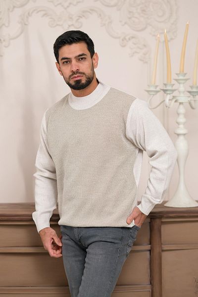 Woolen World Ανδρικό πλεκτό πουλόβερ με μοτίβο μαλλί