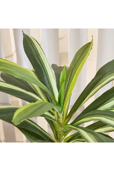 Home Box Triton Realtouch Artificial Dracaena Fragrans Plant with Pot 30x30x58 cm