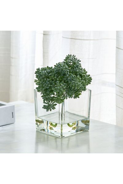 Home Box Liara Sedum Pick in Glass 16x16x17 cm