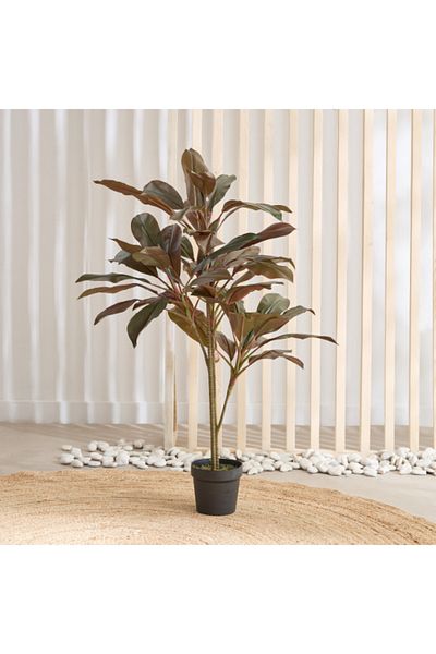 Home Box Triton Realtouch Cordyline Fruticosa Tree 50x45x110 cm