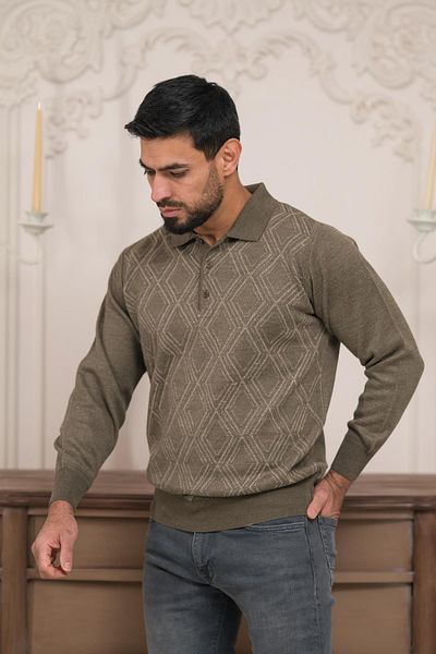 Woolen World Мъжки вълнен плетен пуловер с поло яка и шарки