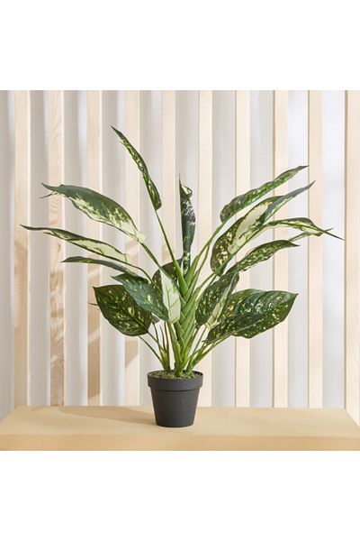 Home Box Triton Realtouch Artificial Diffenbachia Plant with Pot 45x45x60 cm