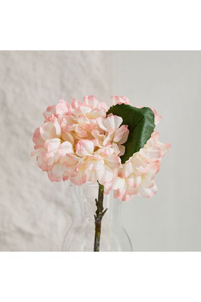 Home Box Liara Dried Hydrangea Flower Stem 35 cm
