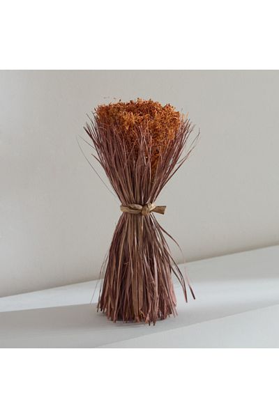 Home Box Caven Mixed Grass Bundle 17x17x35 cm