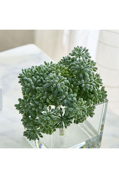 Home Box Liara Sedum Pick in Glass 16x16x17 cm