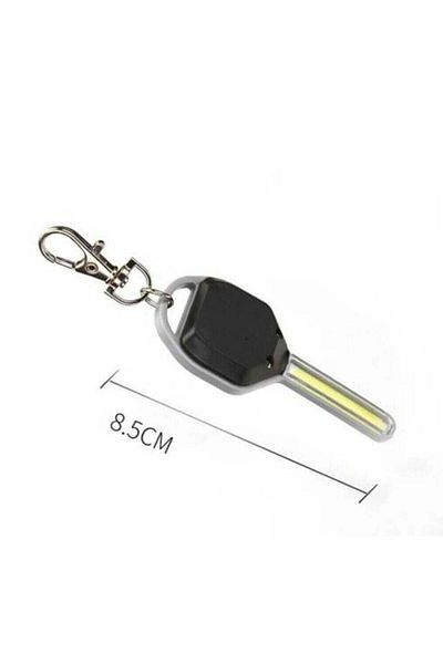 Bare & Bold New Generation Illuminated Keychain Wt-376