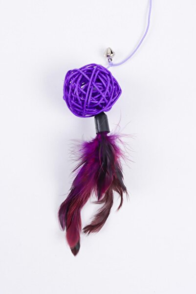 GOBYPET Furry Cat Fishing Rod, Purple Bulk Cat Play Fishing Rod