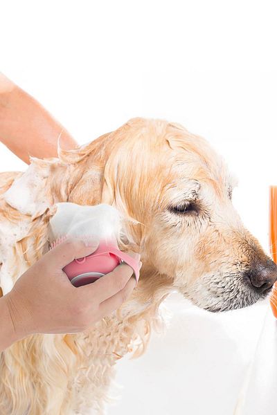 GOBYPET Cat and Dog Pet Washing Brush with Shampoo Tank Silicone Pink
