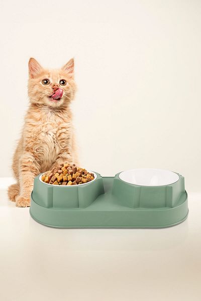 GOBYPET 2-Piece and Double Cat Dog Food and Water Bowl - Elevated Inclined