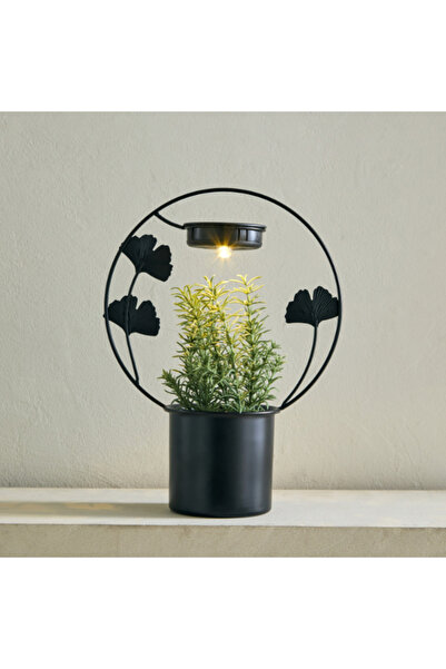 Home Box زخرفة معدنية من Wadee Ginkgo مع وعاء من الصفيح وضوء LED بالطاقة الشمسية