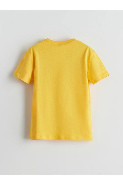 LC Waikiki Crew Neck Boy's T-Shirt