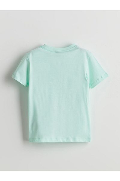 LC Waikiki Crew Neck Boy's T-Shirt