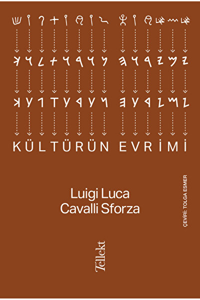 Genel Markalar Kültürün Evrimi