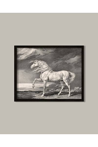 Vetro Design Poster înrămat cu cal alb în creion de cărbune