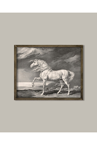 Vetro Design Poster înrămat cu cal alb în creion de cărbune