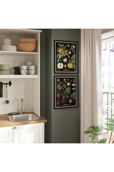 erorex Frame with poster, vintage botanical fruit charts, 40x50 cm