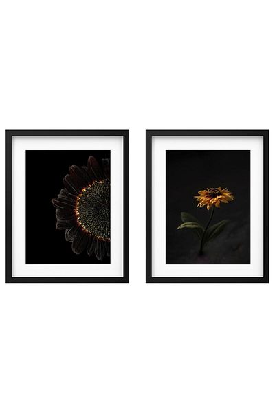 erorex Frame with poster, sunflowers, 40x50 cm