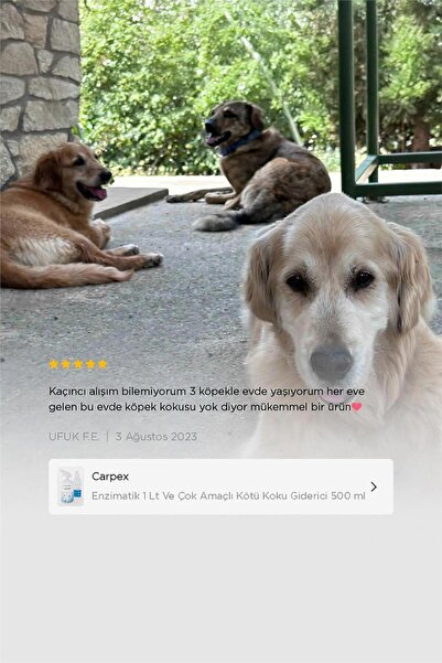 Carpex Enzimatik ve Çok Amaçlı Kötü Koku Giderici Set