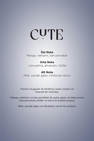 Carpex Cute E2 Power Koku Kartuşu 125 Ml