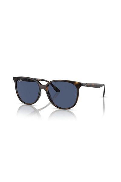 Ray-Ban Rb4378 710 80 Model Women's Sunglasses