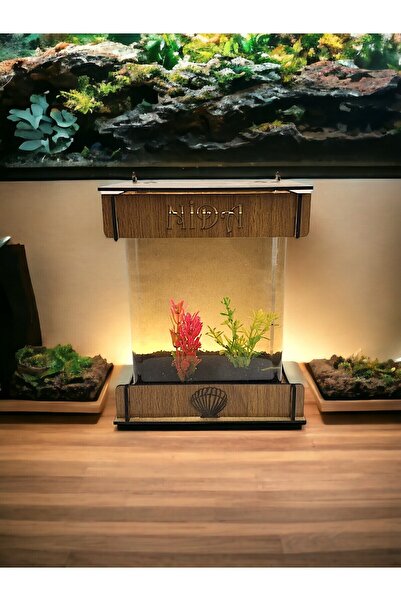 Quun EMSE Beta Mini Ledli ışıklı Akvaryum Ahşap Tasarım Kahverengi Hediyelik Kişiye özel Üretim