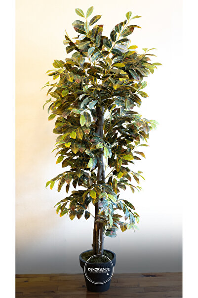 Dekorsende Yapay Kraton Ağacı 170 cm