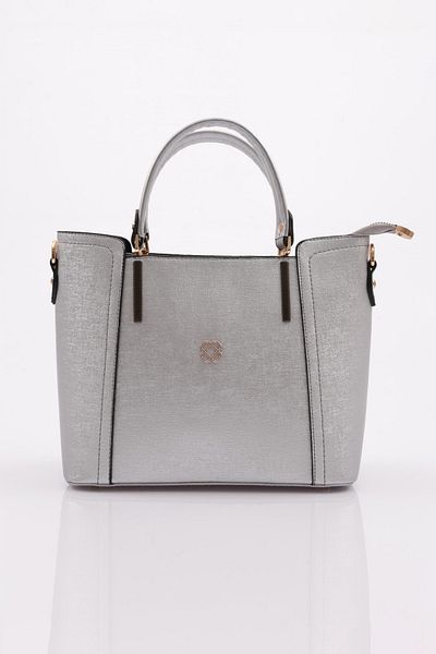 DGN Silver Taycan Women's Shoulder and Hand Bag - 4338563