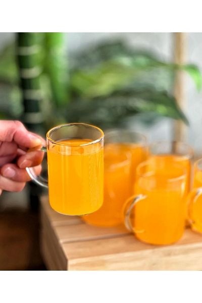 Harvey 6 Pieces Borosilicate Heat Resistant Thermal Glass Mug Cup 200 ml