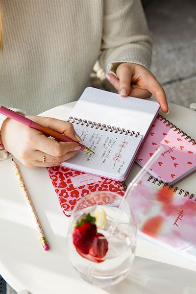 PAPERORA 9X14 cm Hard Cover Spiral Striped 4-Pocket Notepad Set - Pink